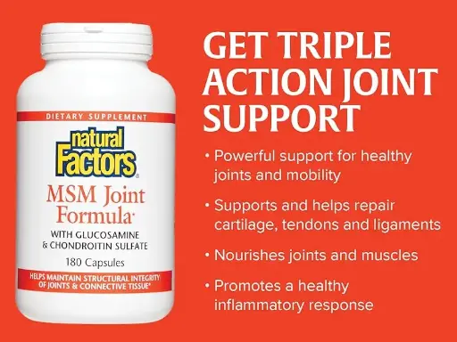 Glucosamine + MSM Joint Formula (90 tablets)